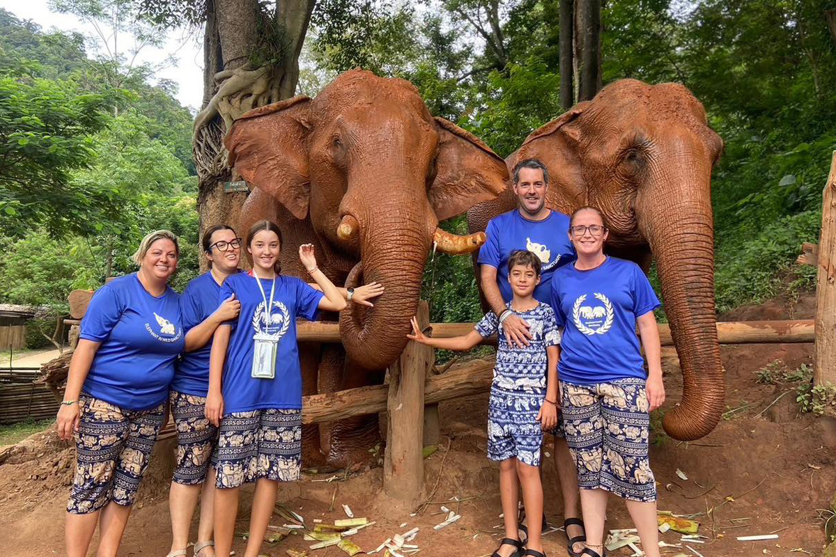 Elephant in Wild Sanctuary ChiangMai